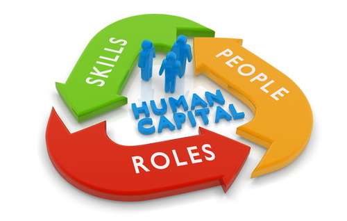What is the role of education in human capital formation?
